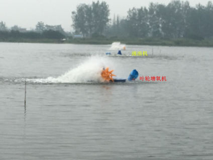 按此在新窗口瀏覽圖片