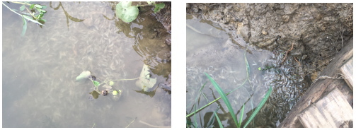 按此在新窗口瀏覽圖片